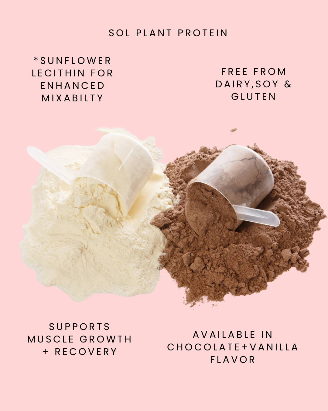 Sol Plant Protein (Vanilla)